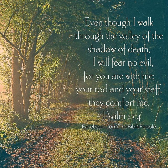 psalm-23v4